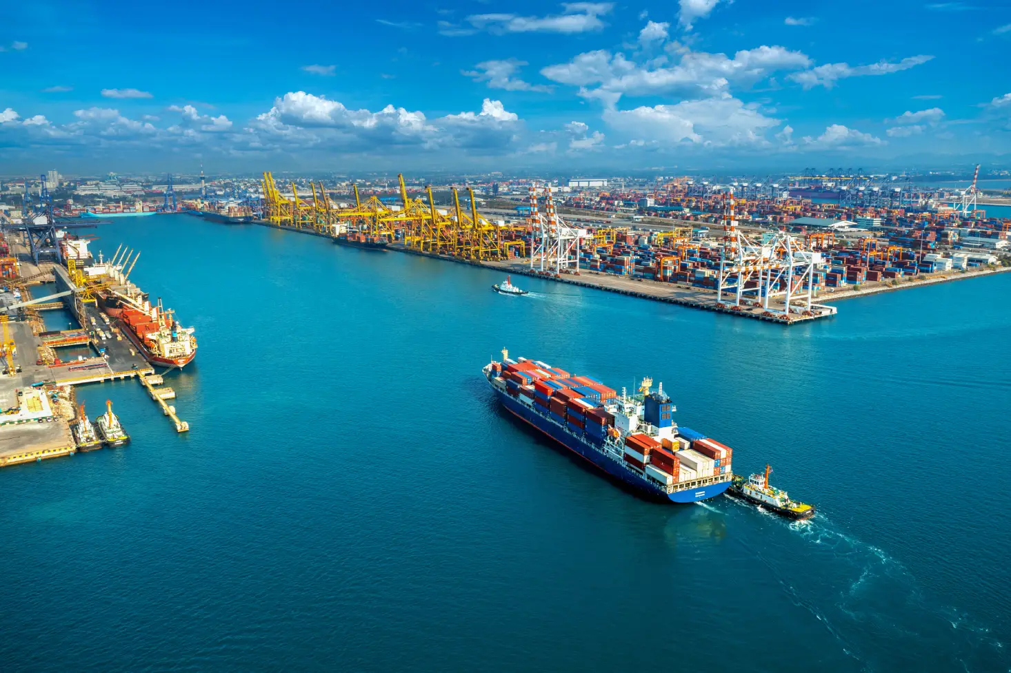 about impexship - freight forwarding company