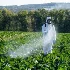 Agrochemical logistics