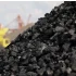 Coal