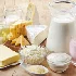 Dairy products import export
